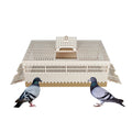 Hot Selling Transportation for Pigeon Training Box Pigeon Foldable the Door Plastic White Bird Cage