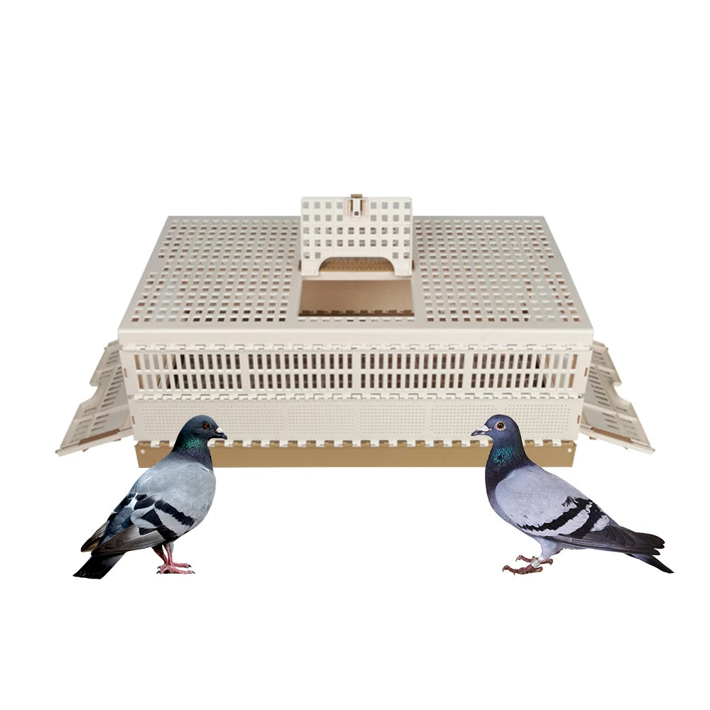 Hot Selling Transportation for Pigeon Training Box Pigeon Foldable the Door Plastic White Bird Cage