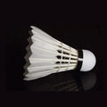 Leoncitycoco Factory Directly Selling Cork Class a Goose Feather Shuttlecock for Club