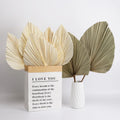C-DPL001 Wholesale Hot Sell Dried Flower Dried Palm Leaves Dry Palm Leaf for Wedding Home Decoration
