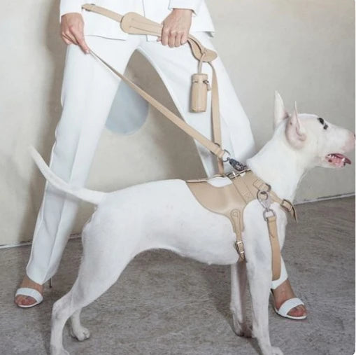 Wholesale Custom Classic Adjustable Pet Dog Leather Harness Luxury Fashion Designer Vegan Leather Dog Harness
