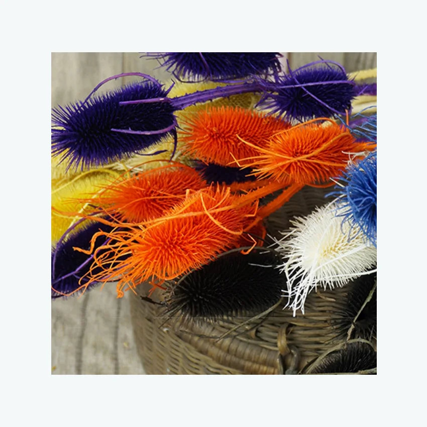 Wholesale Popular Preserved Thistle Flower Bouquet Florals Arrangement Dipsacus Sativus for Home Decor