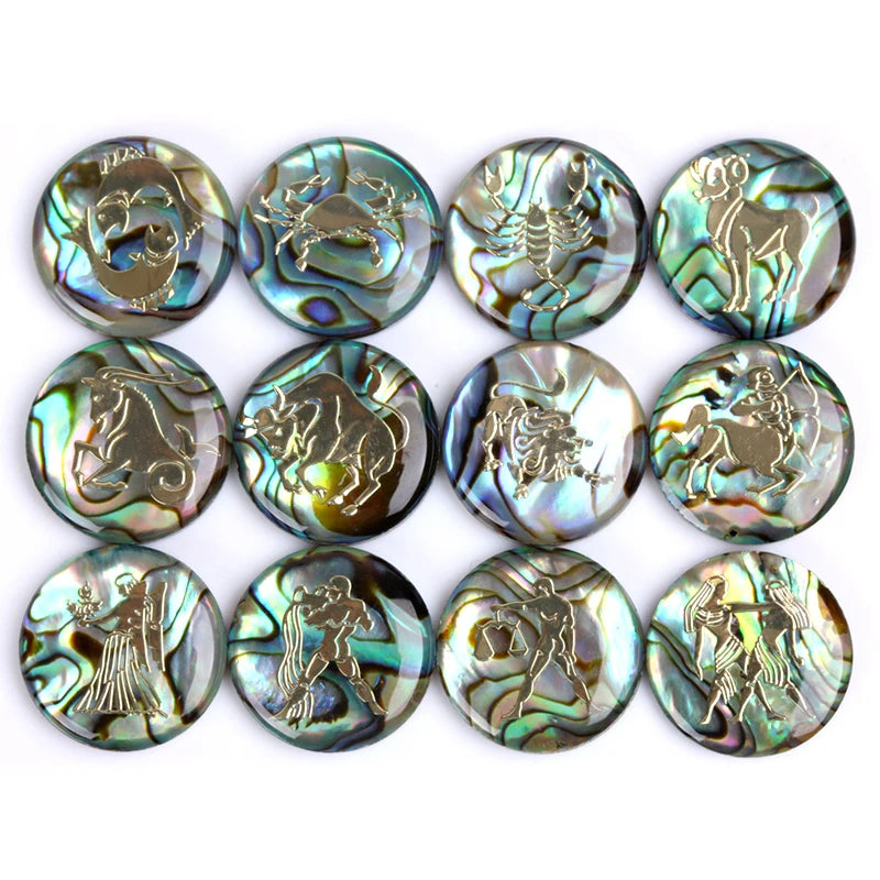 Natural Black Abalone Shell Round 19mm Flat Back 12 Zodiac Pendant Cabochon