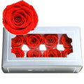 Grade a Preserved Forever Roses M46 White and Red Floral Arrangement 4-5cm Long Lasting Box Decor with Forever Roses Head