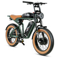 Australia Hot Sale Dual 32AH Battery Snow E-Bicycle Beach Bike Long Distance 250W MTB Fat EBike for Adult