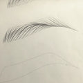 Wenshen YDPMU Flexible Tattoo Practice Skin for Eyebrow Artists OEM ODM Options Available
