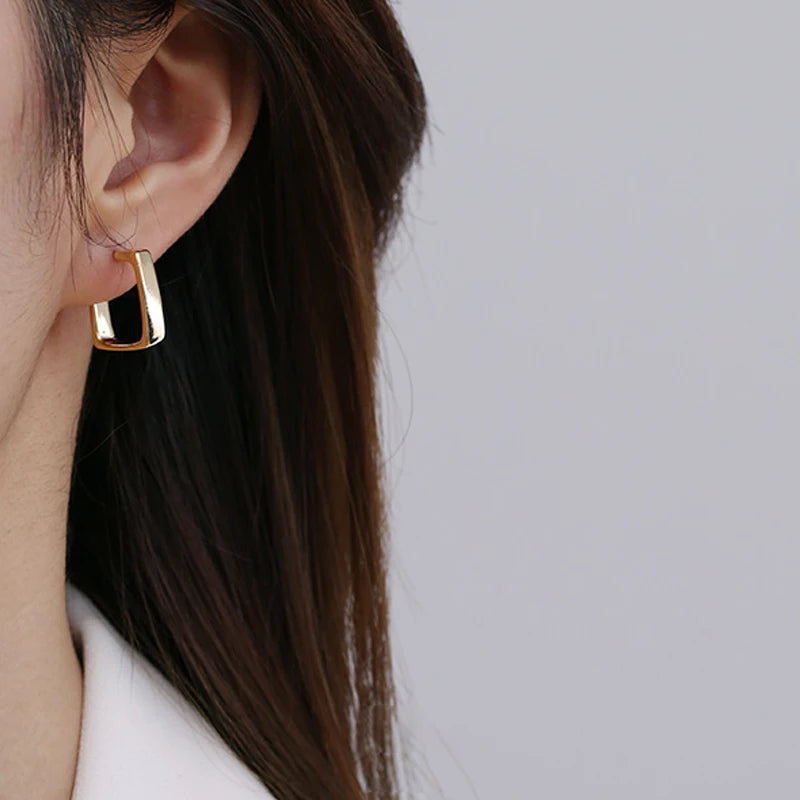 Wholesale Minimalist Trendy 18k Gold Plated Metal Earrings Women Fashion Geometric Statement Hoop Earrings