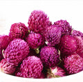 Loose Packing Blooming Tea Ball Flower Organic Gomphrena Flowers Tea
