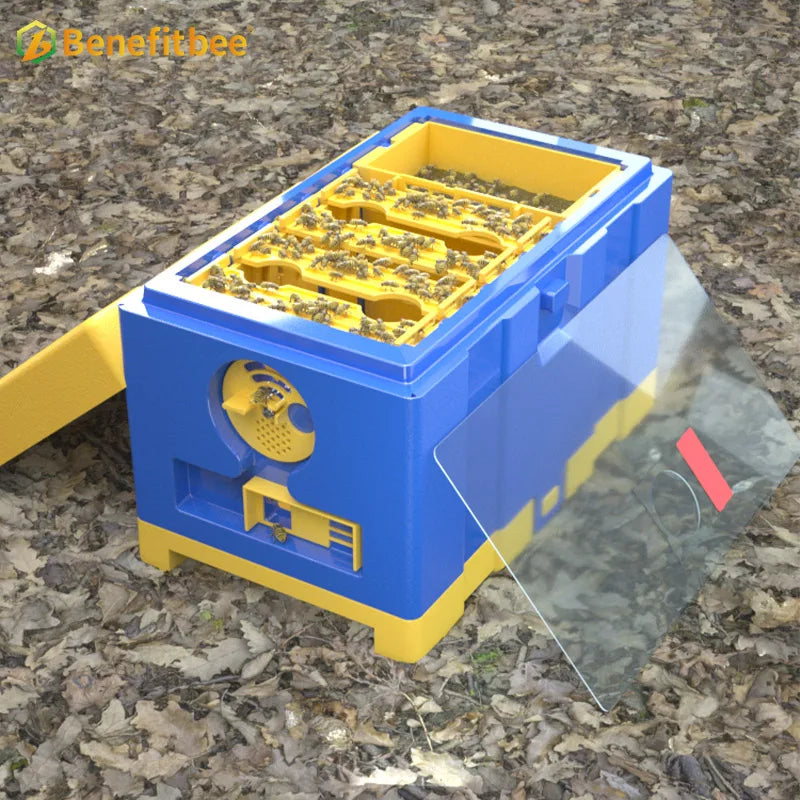 Newest HDPE Bee Queen Mating Box Plastic Bee Hive Mini Mating Boxes