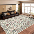Factory Direct Sale Washable Anti-Slip Easy Clean Wear Resistant Printed Area Rugs With Low Pile Soft Faux Cashmere Surface