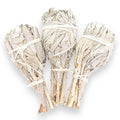 Torch Style White Sage Bundle Smudging Sticks Premium California White Sage 4 Inch Torch Wands Incense Home Cleansing Fragrance