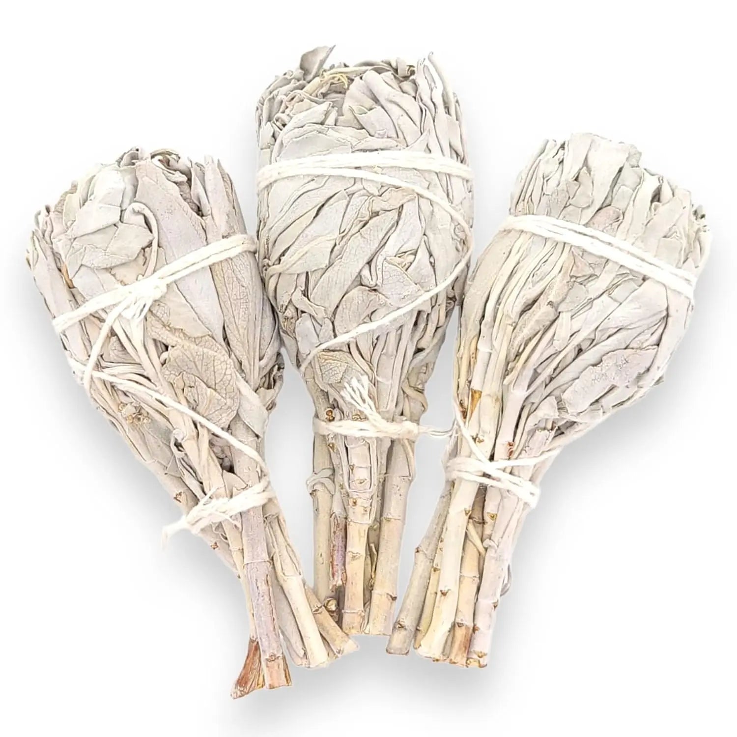 Torch Style White Sage Bundle Smudging Sticks Premium California White Sage 4 Inch Torch Wands Incense Home Cleansing Fragrance