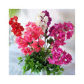 China Flower Artificial Wholesale Flowers Triangular Plum for Home Decoration