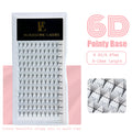 Flourishing Lashes Handmade Pointy Base Promade Fans 6D Lashes 0.07mm 12 Rows for 8-18mm Super Soft Korean PBT Fibers Eyelashes