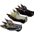 Wholesale 3-5 Inch Size Hand Carved Agate Druzy Geode Dragon Crystal Carvings Skull for Home Decoration