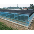 Low Cost Manufacturing Plant Single Layer Large PE Film Multi-Span Greenhouse Kit Commercial for Tomato