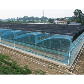 Low Cost Manufacturing Plant Single Layer Large PE Film Multi-Span Greenhouse Kit Commercial for Tomato