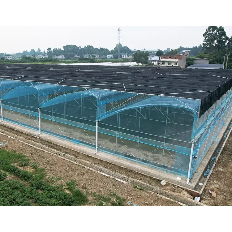 Low Cost Manufacturing Plant Single Layer Large PE Film Multi-Span Greenhouse Kit Commercial for Tomato