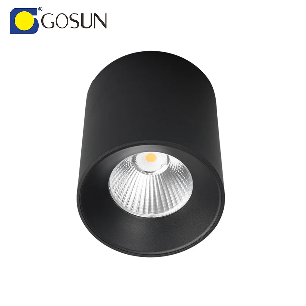 Hot Selling Aluminum 85-265v Surface Mounted LED Downlight Commercial Spotlight Indoor Lighting for Hotel Led Downlight