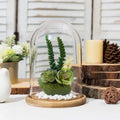 Handmade Clear Glass Cloche Bell Jar Candle Dome with Black White Base for Wedding Gift House Decoration