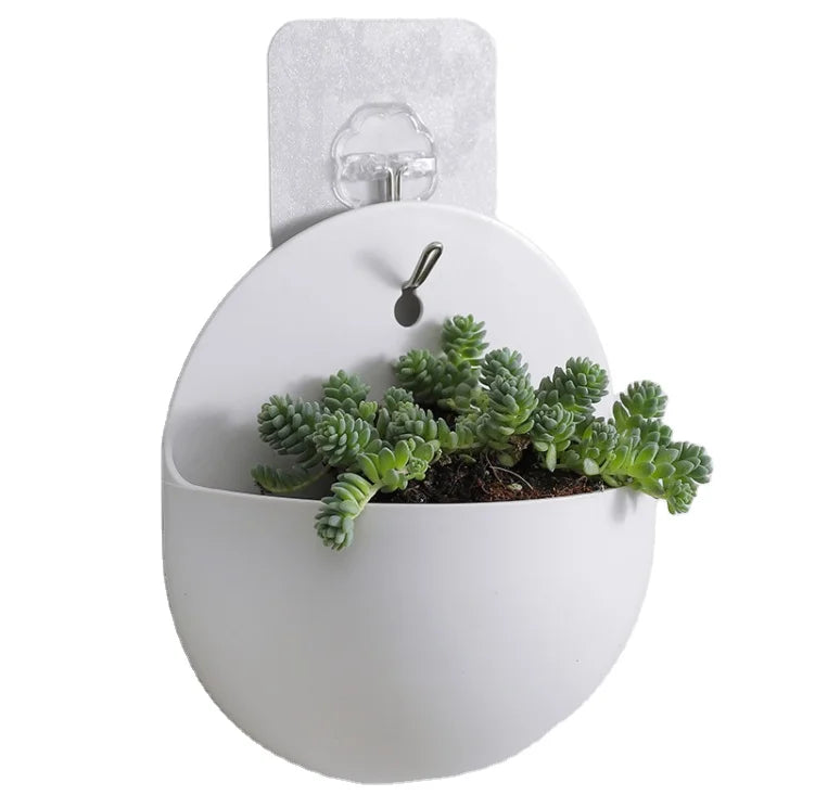 Plastic Polypropylene Self-adhesive Modern Glazed Wall Hanging Flowerpot Save Space White for Home & Garden Carton Packed