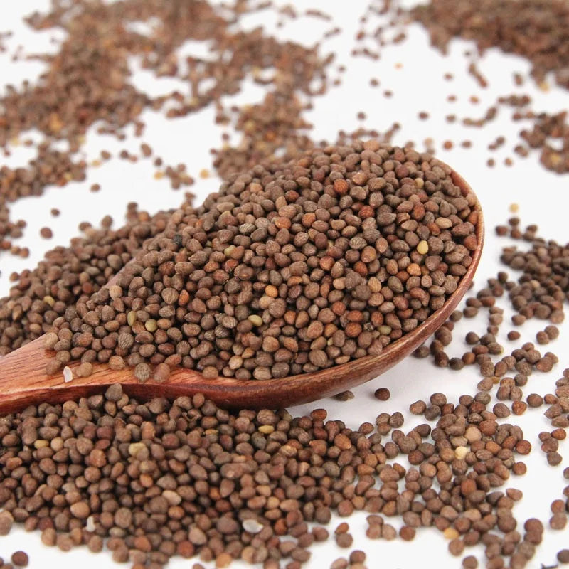 2127 Zi Su Zi Natural Herbal Raw Material Food Grade Purple Perilla Semen