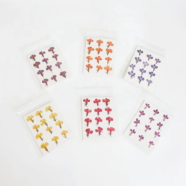 M003 Phone Case DIY Preserved Real Dried Pressed Flower Resin Nail Art Jewelry Frame Lobelia Small Dried Flowers Natural Flower