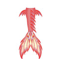 Realistic Mermaid Skin Tail Costume Swimsuit for Women Bikini 2-Piece Set Spandex/Polyester Anti-Uv & Waterproof Print Pattern