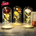 Valentines Gift Led Light 24 k Gold Foil Crystal Galaxy Roses Flower Roses in Dome for Girl Mom Wife