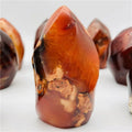 Natural Carnelian Flame Shape Red Agate Freeform Crystal Flame Healing for Sale