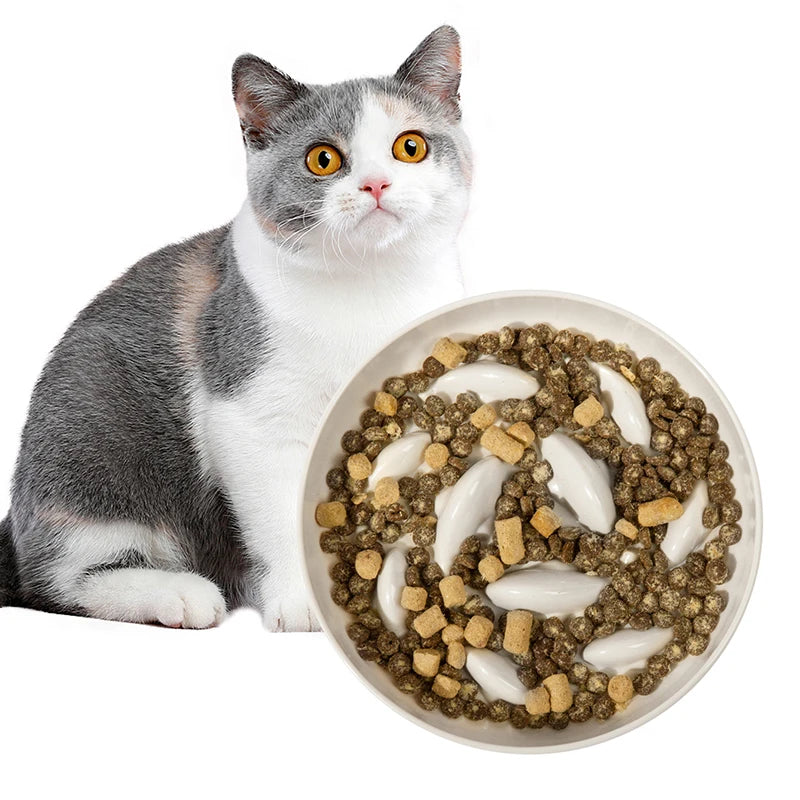 Custom New Maze Design Automatic Pet Slow Feeder Dog Bowl Collapsible and Foldable for Outdoor Travel and Water Application