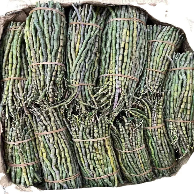 Shi Hu Chinese Natural Stem of White Dendrobium for Tonic Herb Tea