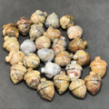 DIY Natural Crazy Agate Hazelnut Jewelry Carving Home Decoration Crystal Crafts Christmas