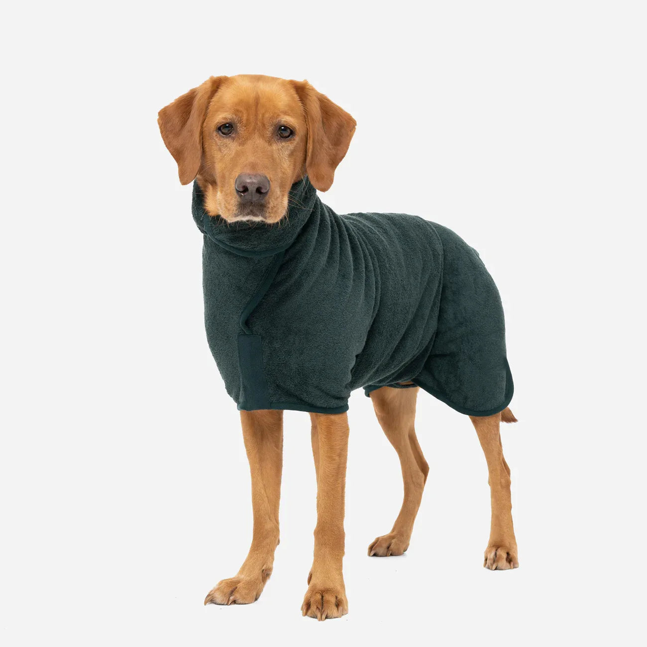 Pet Towel Bathrobe Drying Moisture Absorbing Coat Luxury Pet Dog Bathrobe