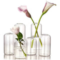 Modern Glass Cylinder Glass Clear Bud Vase Bulk for  Decorative Small Flower