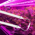 Liweida Customized 2FT 4FT T8 IP65 Hydroponic System Veg Bloom Microgreens Built-in External Driver Cob Full Spectrum LED Grow