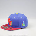 Street Style Custom Silk Print Embroidery 3D Logo Canvas Outdoor Sport Fitted Cap Woven Label with Adjustable Strap 100% Cotton
