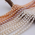 Wholesale 3-9mm Rice Oval Loose Fresh Water Pearls White Pink Purple Colors Freshwater Cultured Pearl Beads String