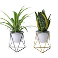 Wholesale Modern Succulent Planter Pot With Plant Stand Indoor Desktop Decor Small White Ceramic Cactus Round Pot