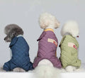 All Seasons 95% Polyester Sustainable Classic Print Puppy Vest Dog & Cat Apparel