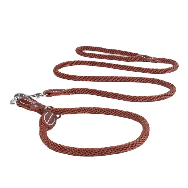 Maychan Strong Sturdy Heavy Duty Dog Slip Lead Detachable Nylon Solid Personalized Leash