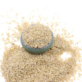 Golden Flaxseeds Flax Seeds Lin Seeds