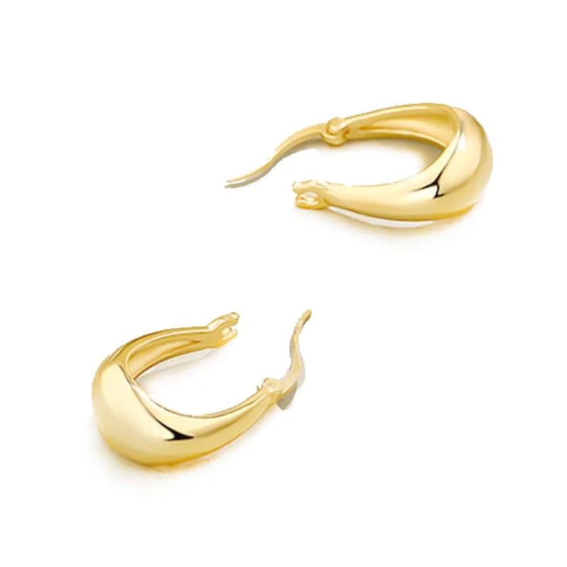 Winter Women Fashion Factory Price Gold Plated Silver Big Hoop Earrings Women