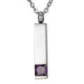 Zircon Stainless Steel Rectangle Cremation Pendant Memorial Keepsake Ashes Necklace Jewelry Birthstone Cremation Urn for Ashes