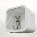 Automatic Plastic Pet Dryer Mute Intelligent Household Hair Blowing Artifact for Cats and Dogs