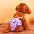 Aidingcare Fashion Colorful Female Dog Cotton Tighten Strap Sanitary Physiological Pants Super Absorbent Breathable S-XXL MegaBDM