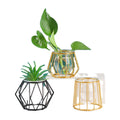 Wholesale European Style Wrought Iron Flower Racks Hydroponic Glass Vases Home Decoration Flower Arrangement and Ornaments