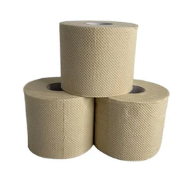 Import Eco-Friendly Water-soluble Flushable Antibacterial Soft Disposable 2-layer Bamboo Pulp Embossed Toilet Paper Roll