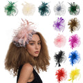 Hot Selling Fancy Hair Accessories Charming Elegant Mesh Fascinator Feather Versatile Headpieces for Women Party Decoration