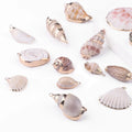 2pcs/Bag DIY Natural Shell Conch Pendant Handmade Earrings Wind Chime Hanging Decoration Handcrafted Creative Gift Pendant Charm